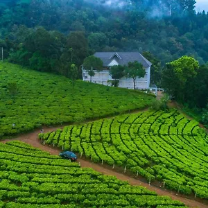 *** Resort Tea Harvester India